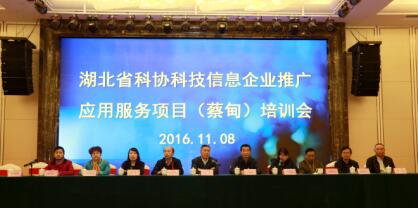 科技信息服務新篇章 2016年武漢蔡甸企業(yè)推廣應用項目培訓圓滿舉行
